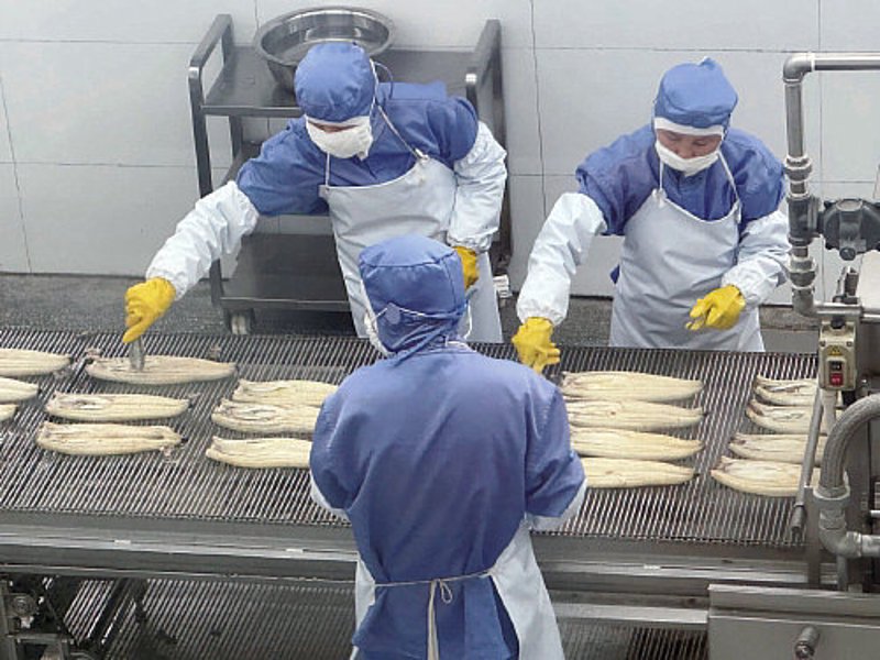 食品厂设计：构筑未来的味道工厂