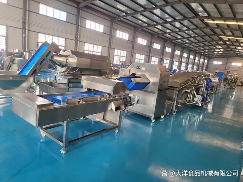 大连食品工程公司的行业洞察：推动食品安全与创新